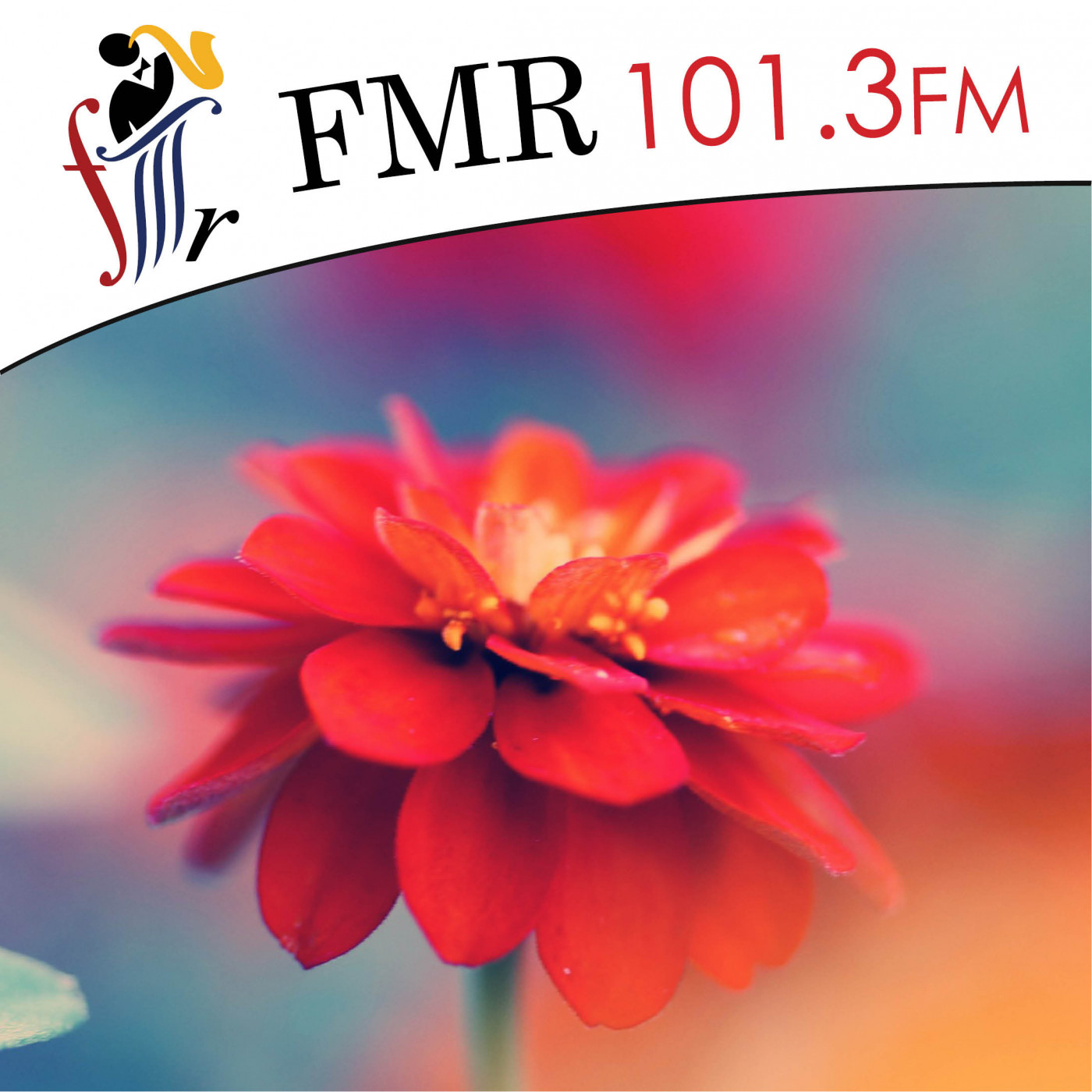 The Garden Chat with Sandy Munro - 21 December 2019