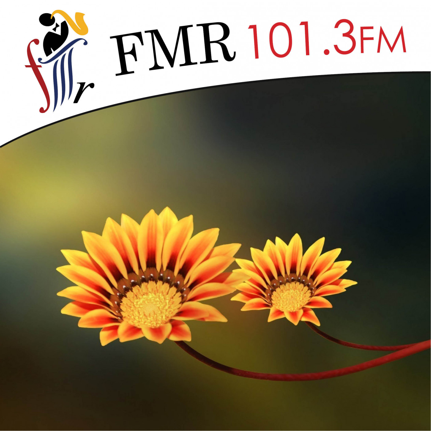 The Garden Chat with Sandy Munro - 18 January 2020