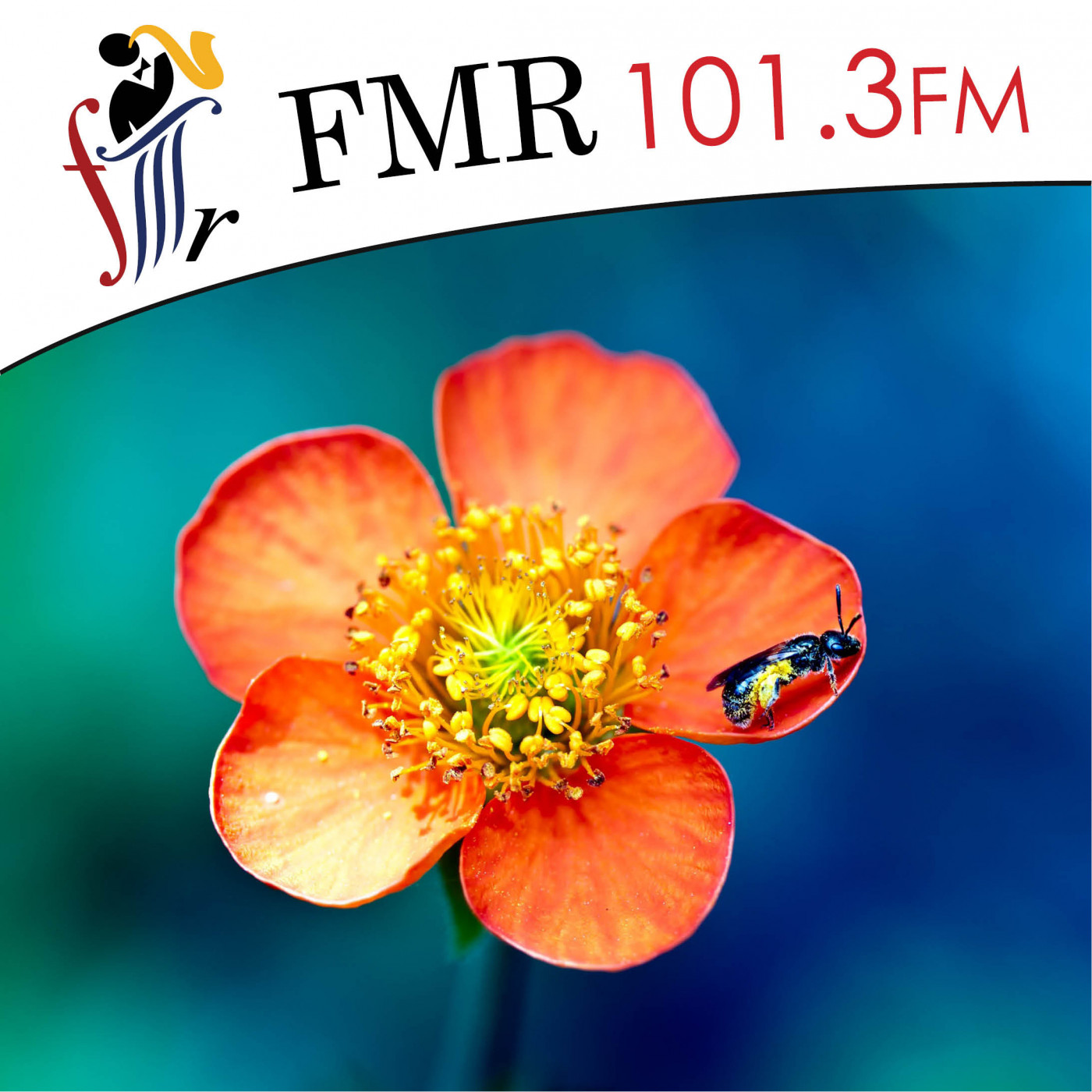 The Garden Chat with Sandy Munro - 22 February 2020