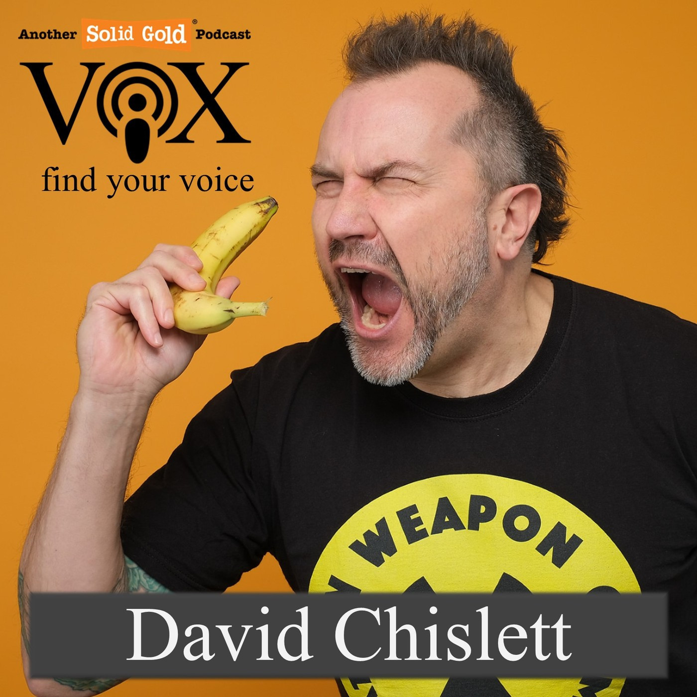 Podcast Hosts from Vox - find your voice #BeHeard