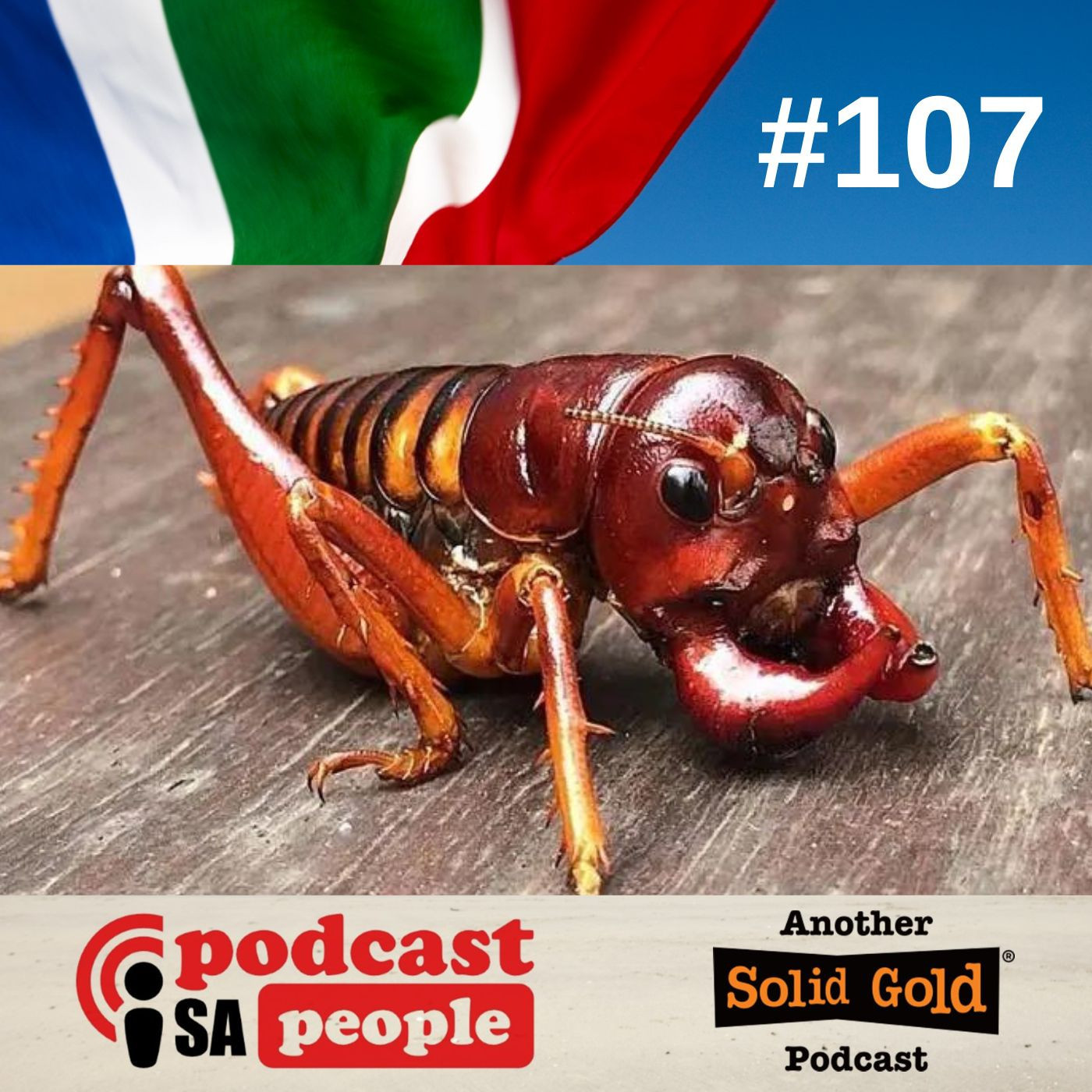 SA People - Your Worldwide South African Community