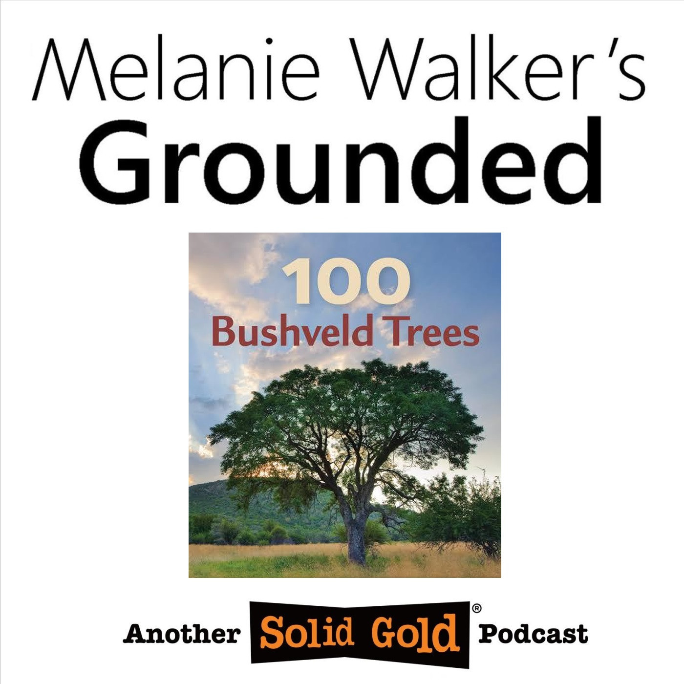 #073 If Trees Could Talk... | Megan Emmett Parker