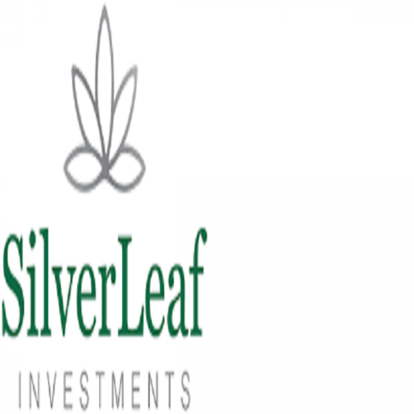 SilverLeaf Fund Management enters a joint investment with Druids