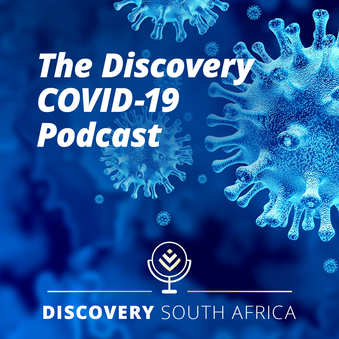 Discovery South Africa