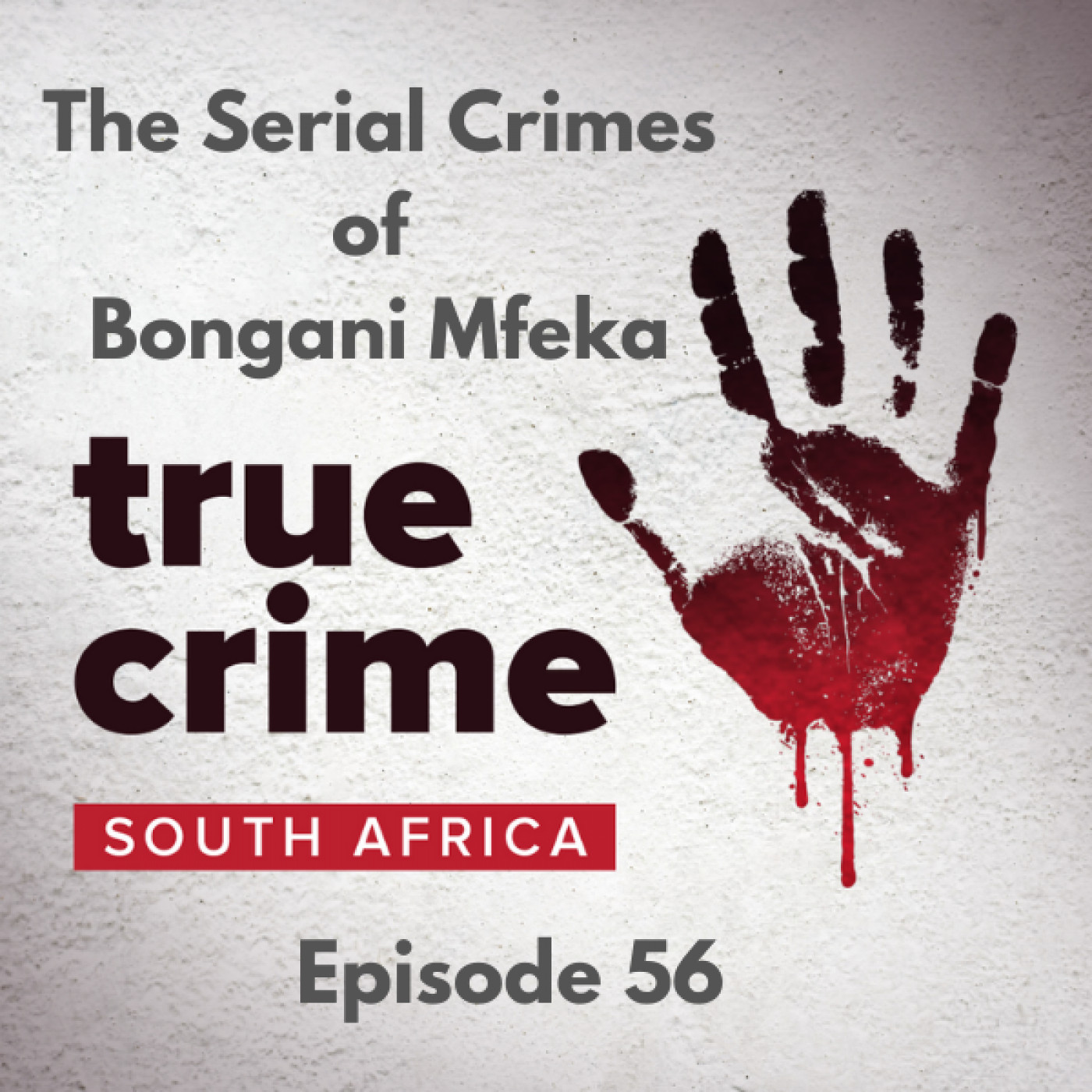 Episode 56 - The Serial Crimes of Bongani Mfeka
