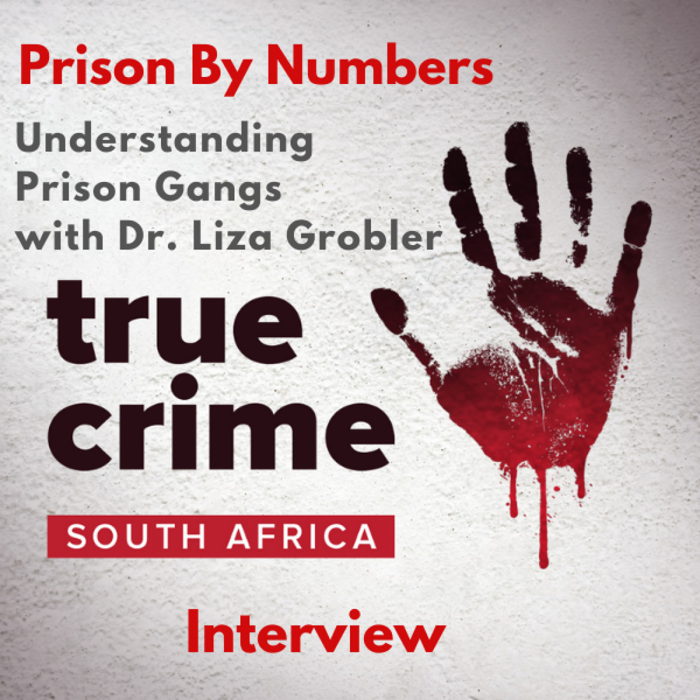 Prison By Numbers: Understanding Prison Gangs with Dr. Liza Grobler