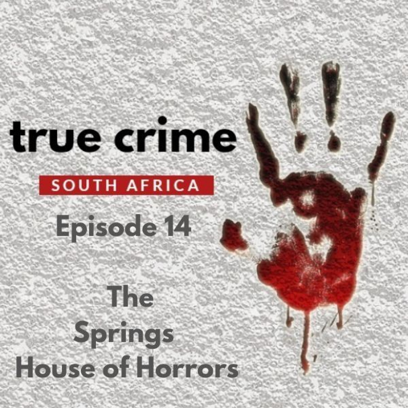 Episode 14 - The Springs House of Horrors
