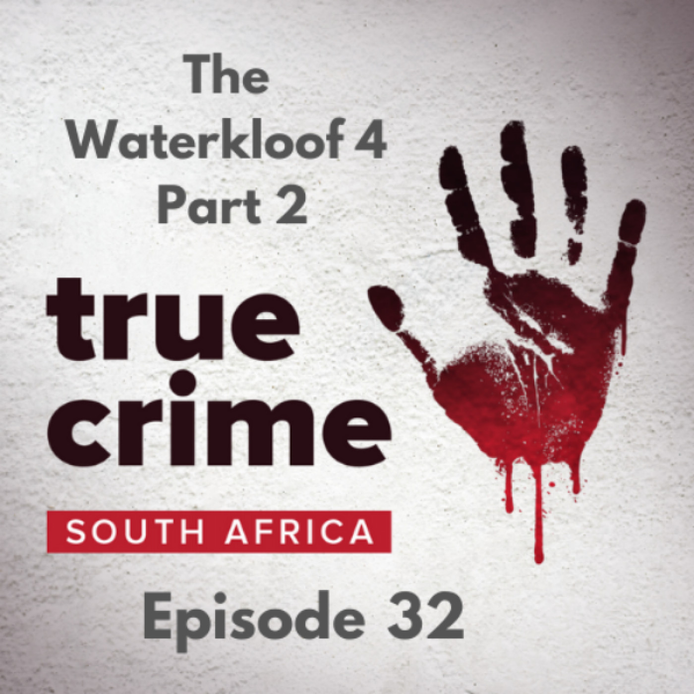 Episode 32 - The Waterkloof 4 (Part 2)