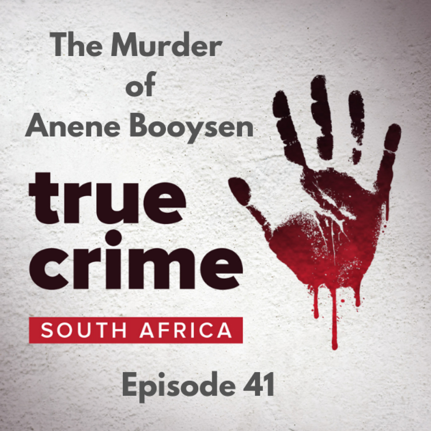 Episode 41 - The Murder of Anene Booysen