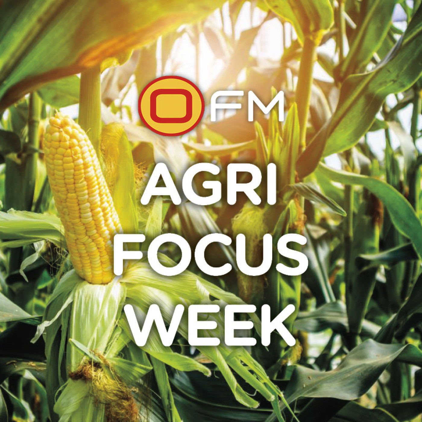 OFM Agri Focus Week