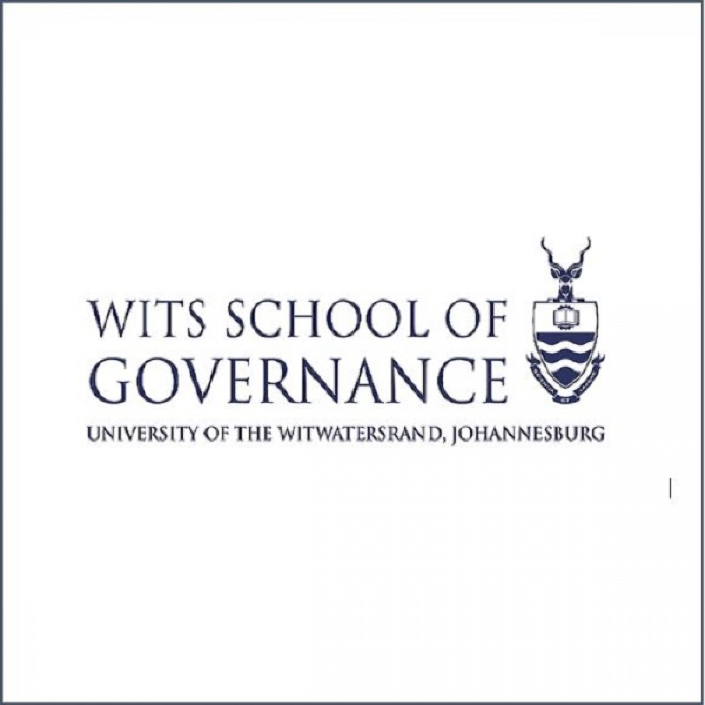 Wits School of Governance