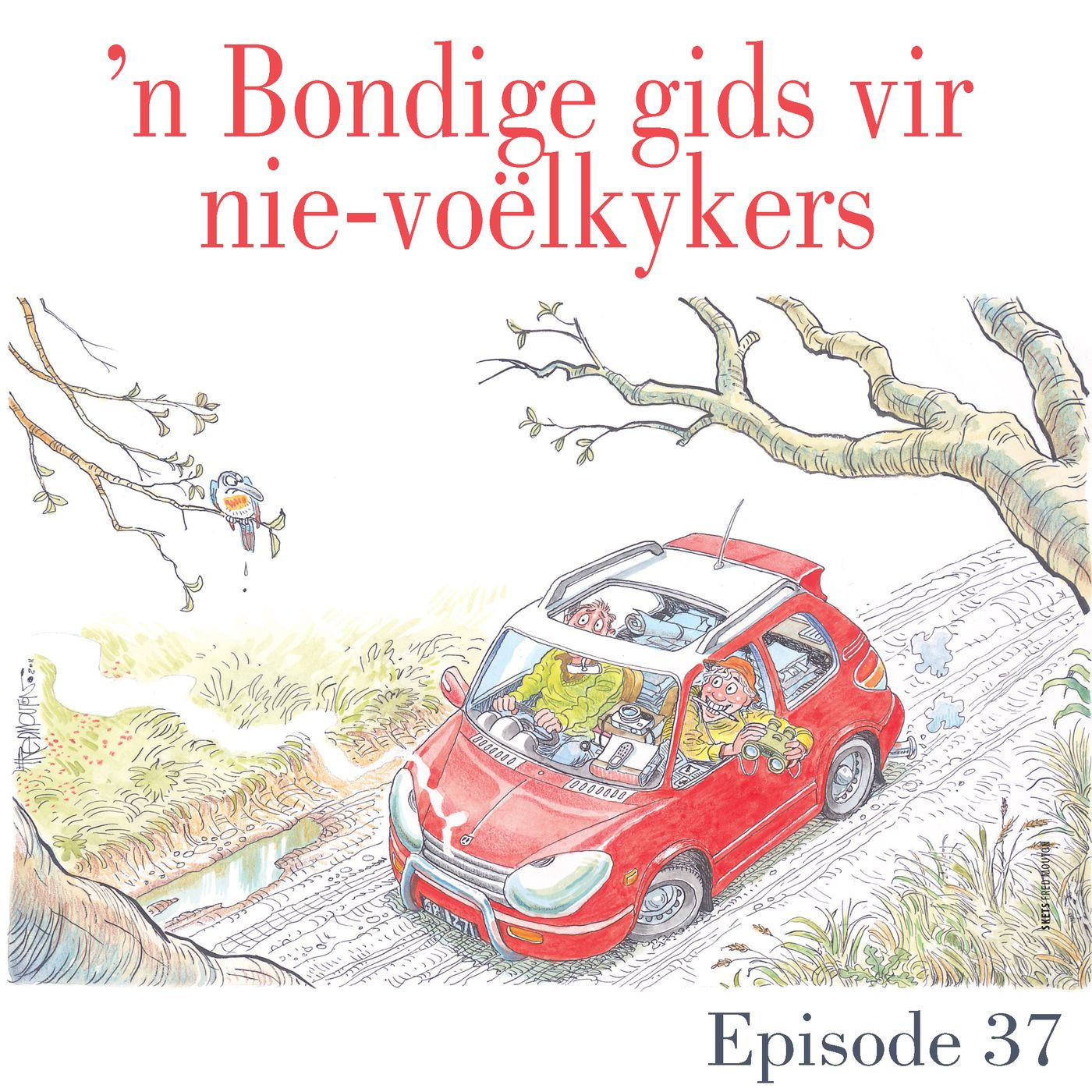 Klankgolwe: Weg Stories