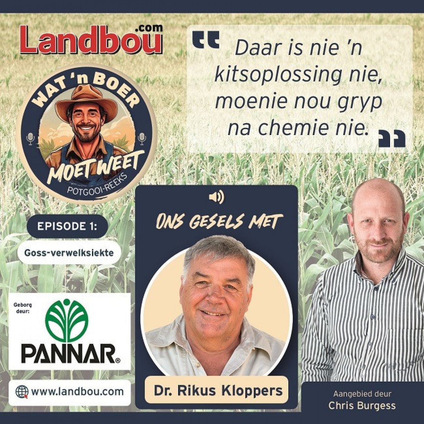 Media24