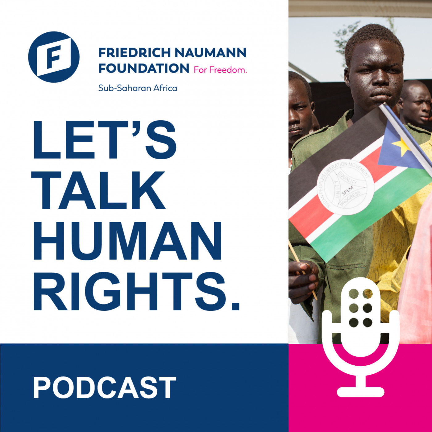 Friedrich Naumann Foundation for Freedom Africa