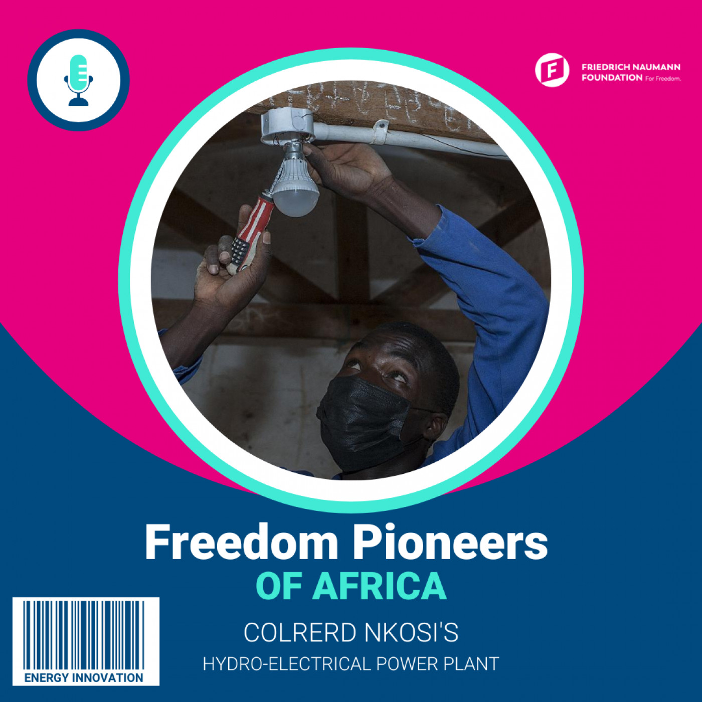 Friedrich Naumann Foundation for Freedom Africa