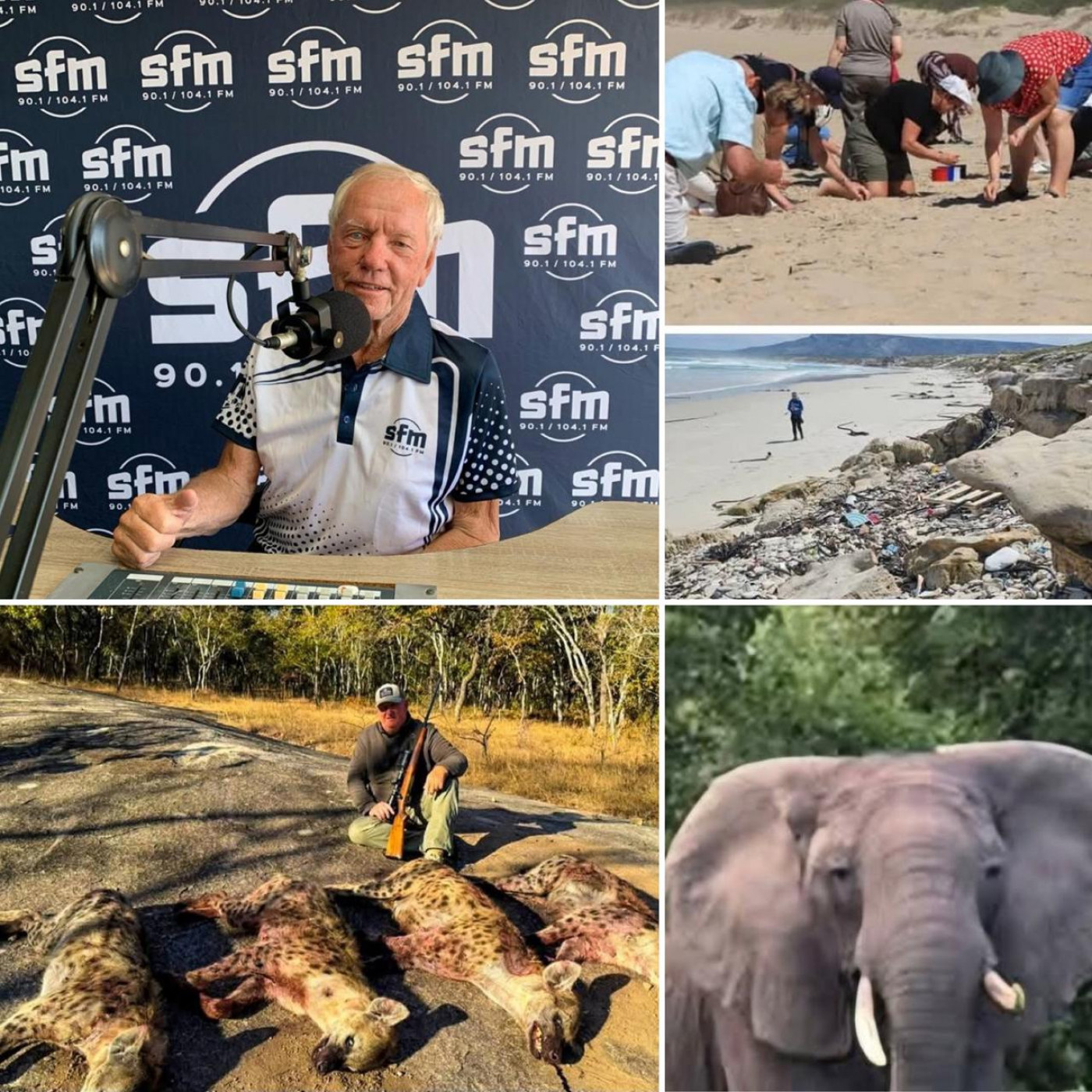 SFM Allegaartjie van onderhoude