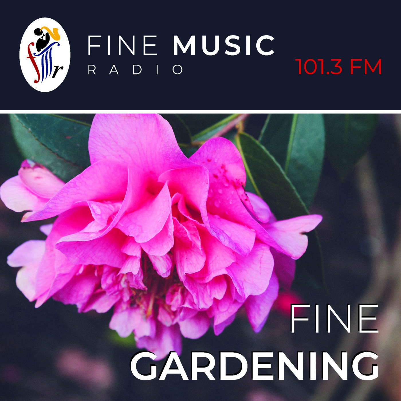 Fine Music Radio