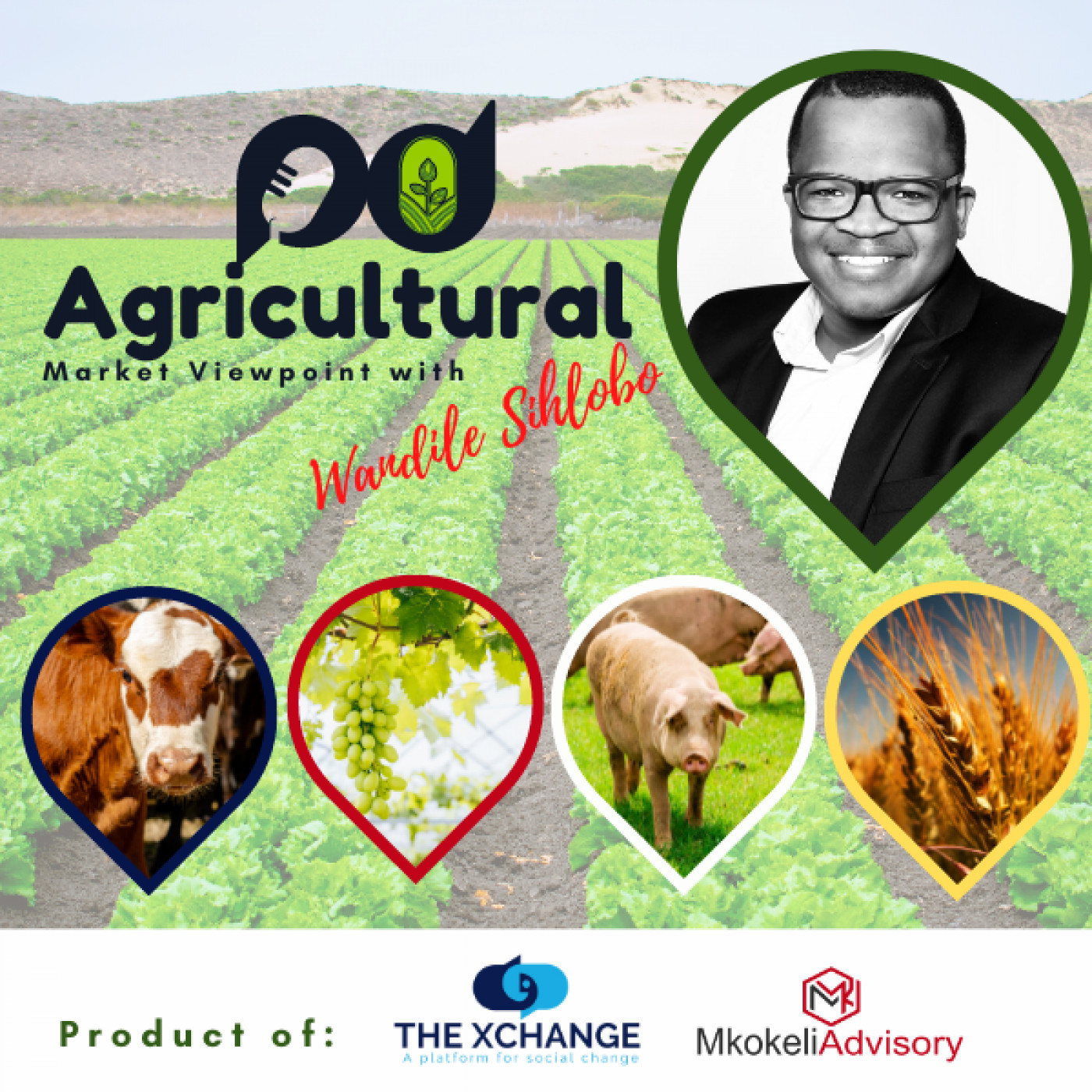 Agricultural Market Viewpoint with Wandile Sihlobo