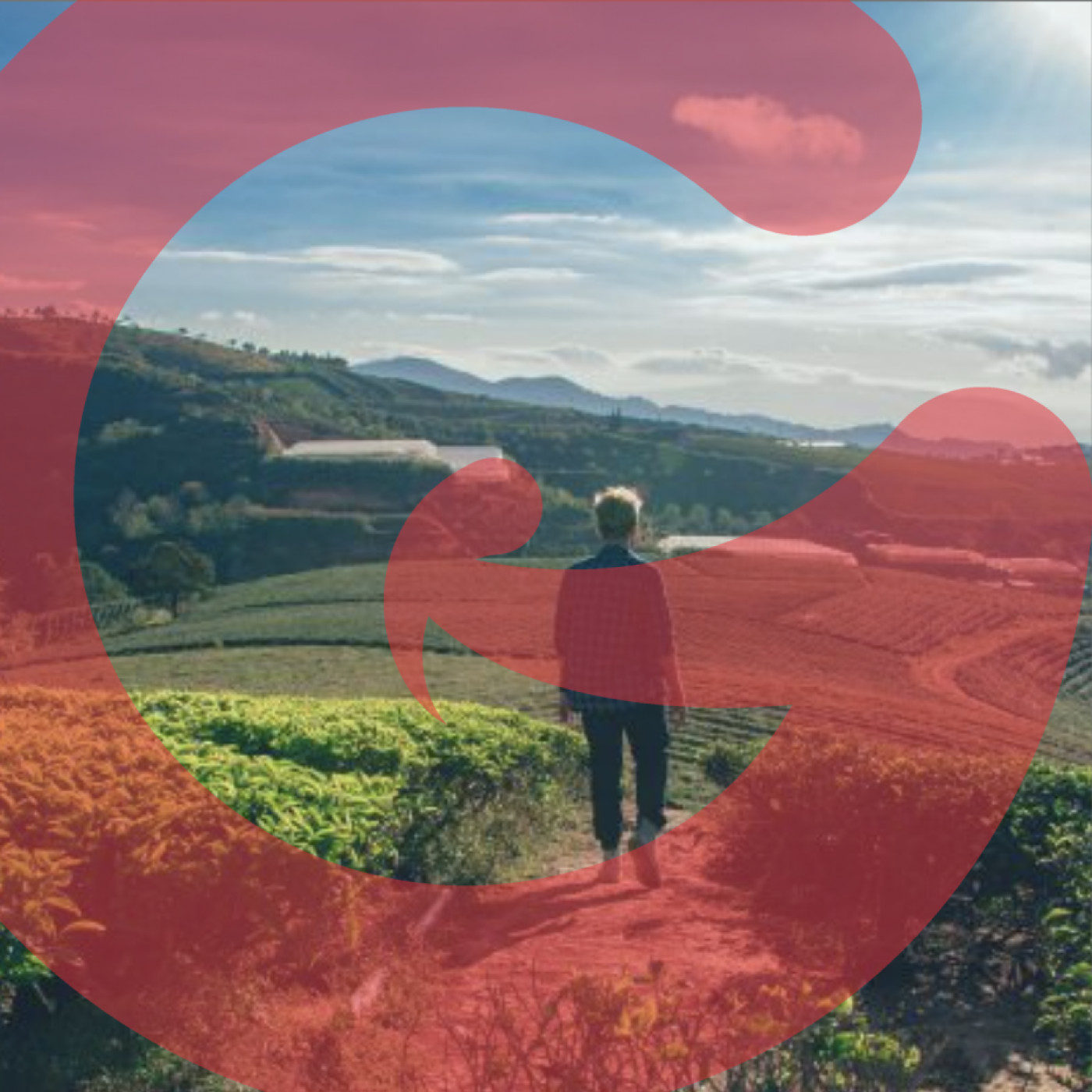 Good Things with Brent Lindeque