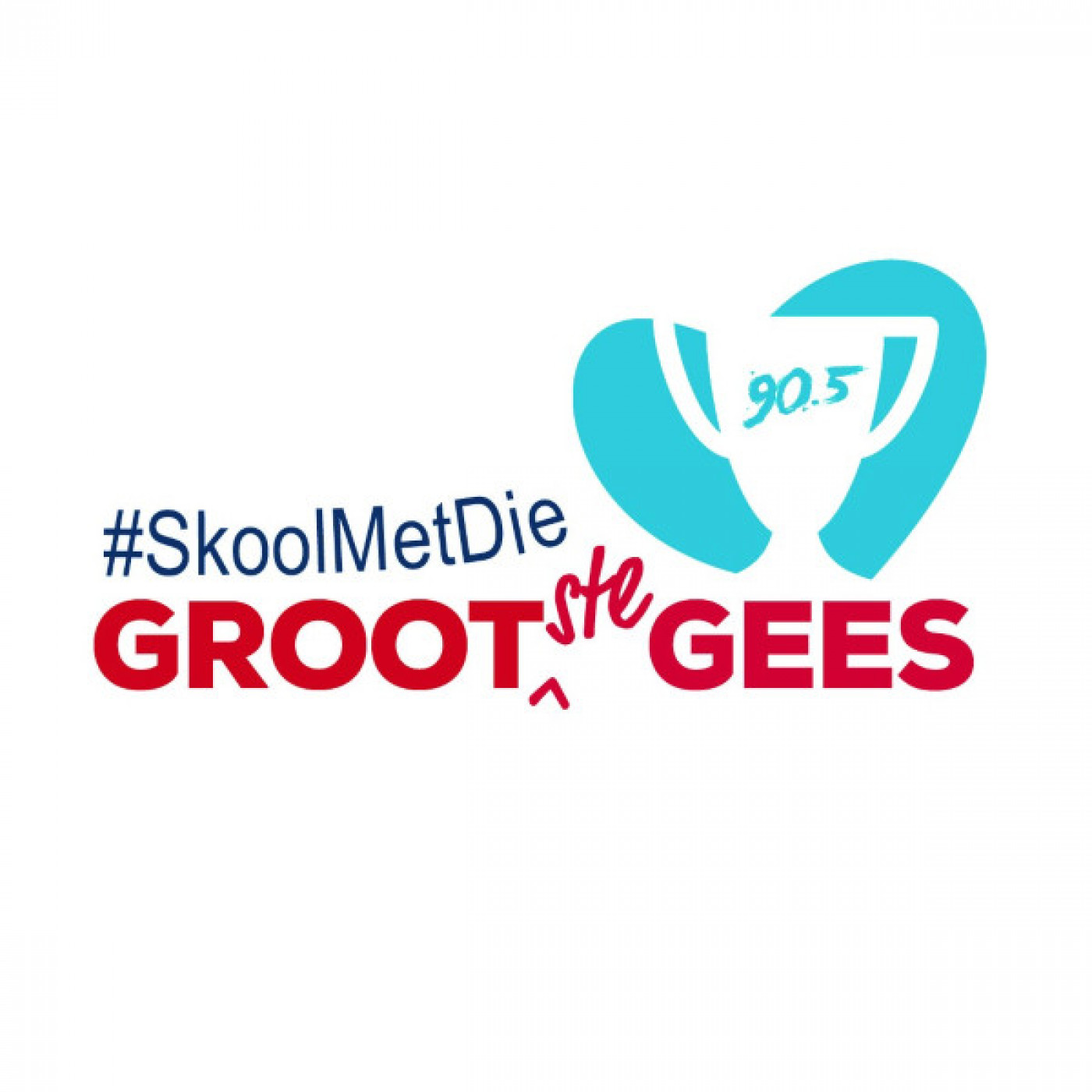 #SKOOLMETDIEGROOTSTEGEES