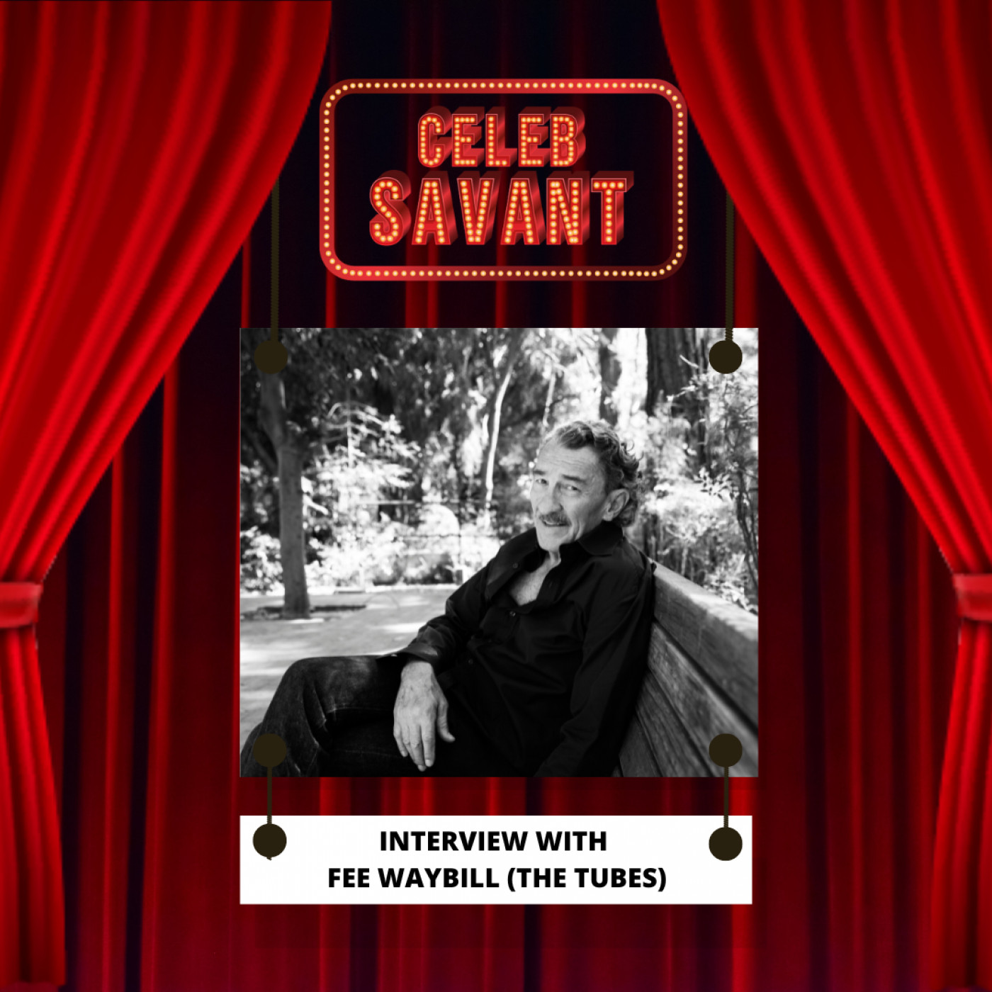 Celeb Savant