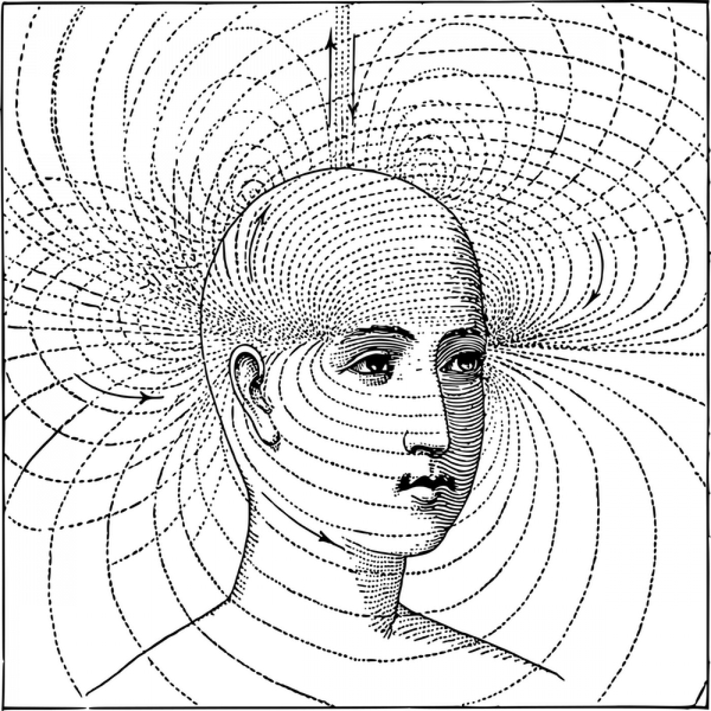 The Brain and Brand Show