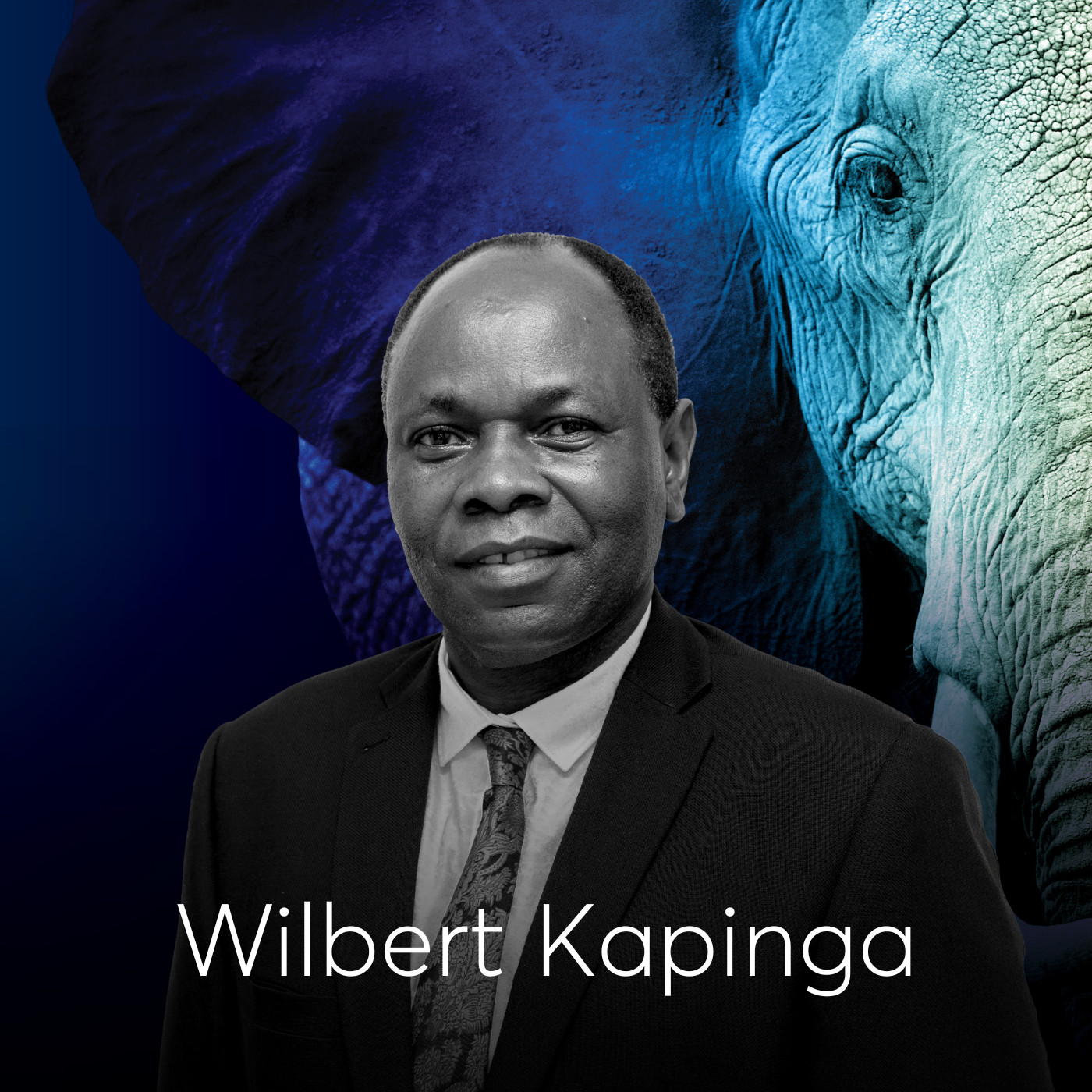 Elephant Echoes featuring Wilbert Kapinga