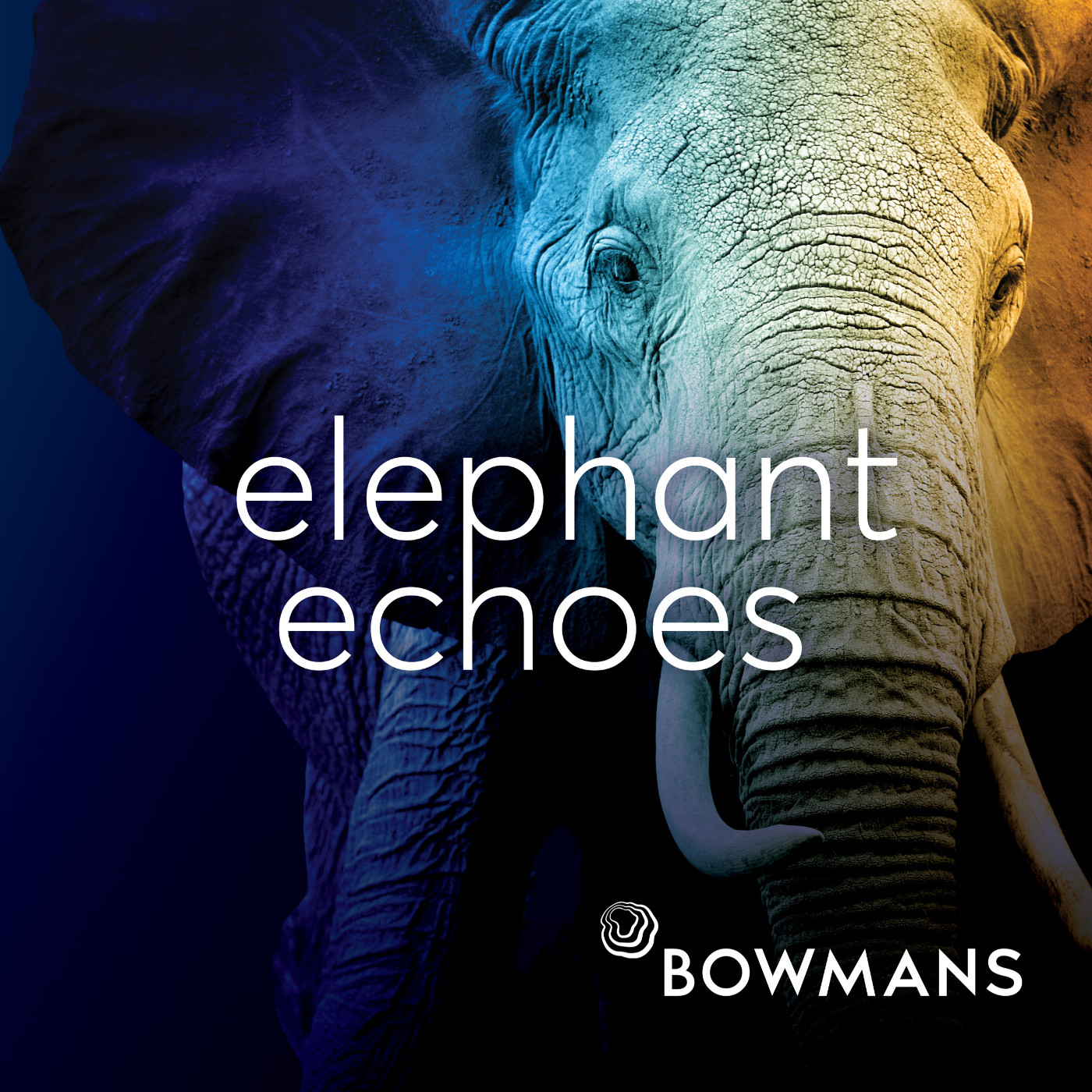 Elephant Echoes