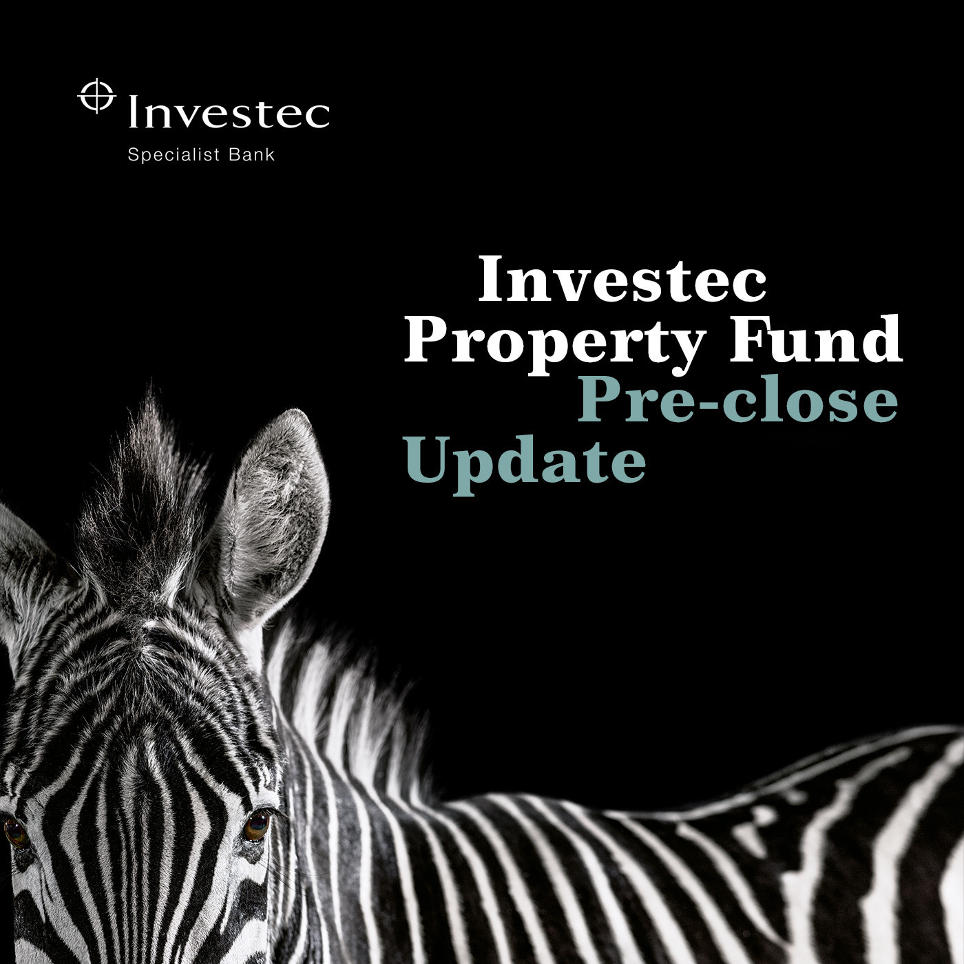 Investec Results