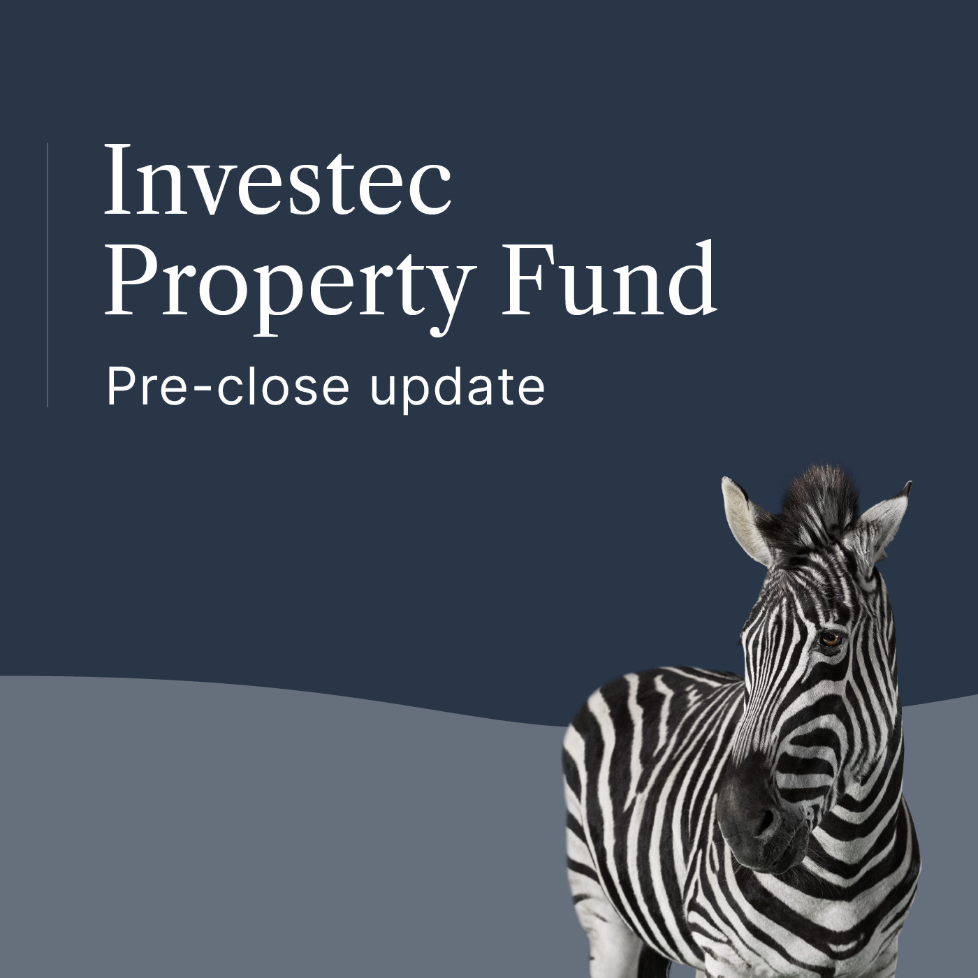 Investec Results