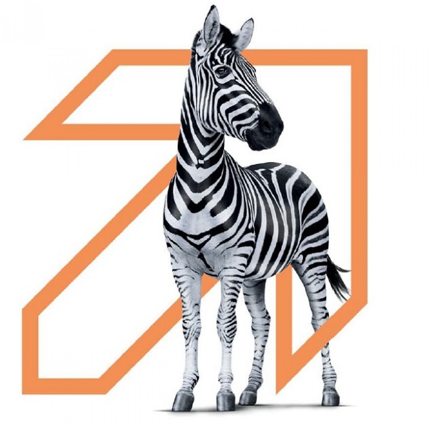 Investec Results