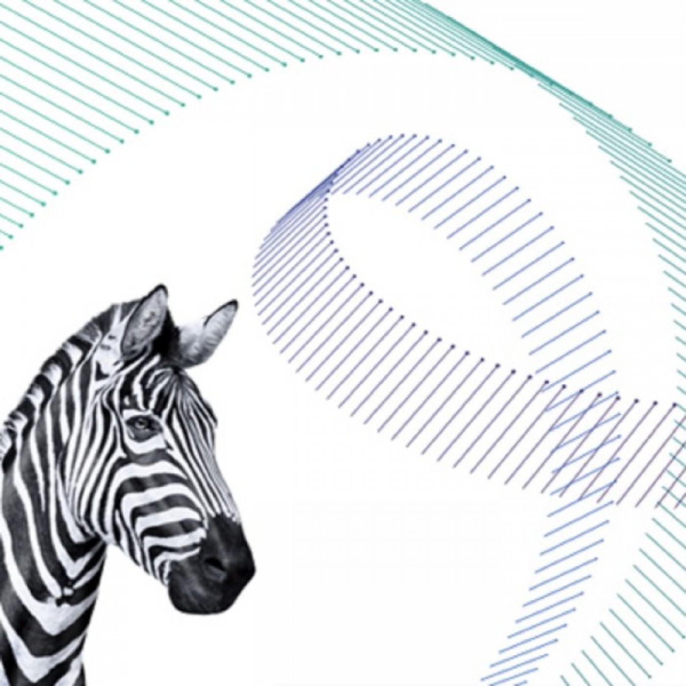 Investec Results