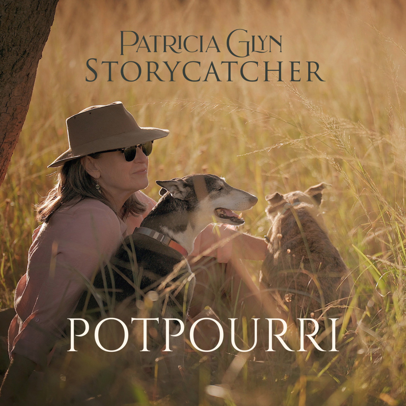 Patricia Glyn Storycatcher
