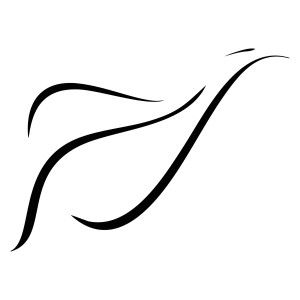 Publisher logo