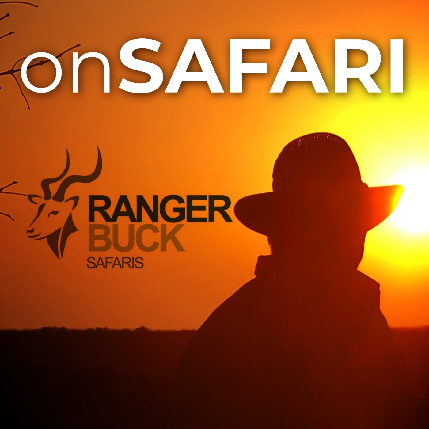 EP06: The best times of the year to go on Safari