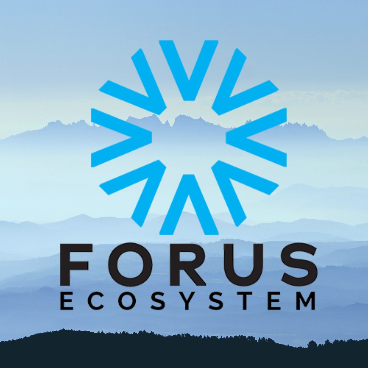 FORUS GLOBAL DIGITAL EXCHANGE FORUS GLOBAL DIGITAL EXCHANGE